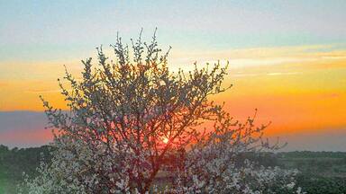 Posta de sol a la pobla de Ferran