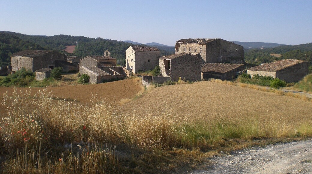 Picture of Sant Gallard (Les Piles, Conca de Barberà, Catalonia)