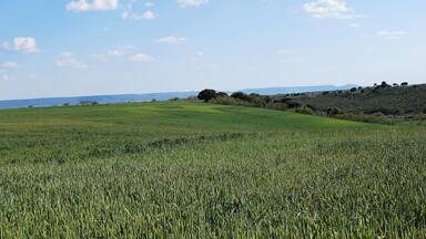 Cabanillas del Campo