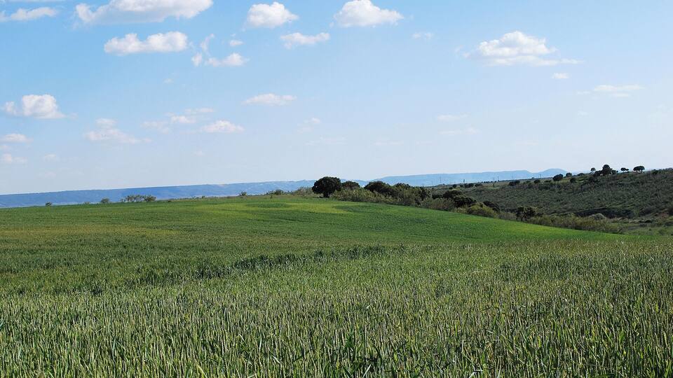 A vast green field with rolling hills and a clear blue sky.