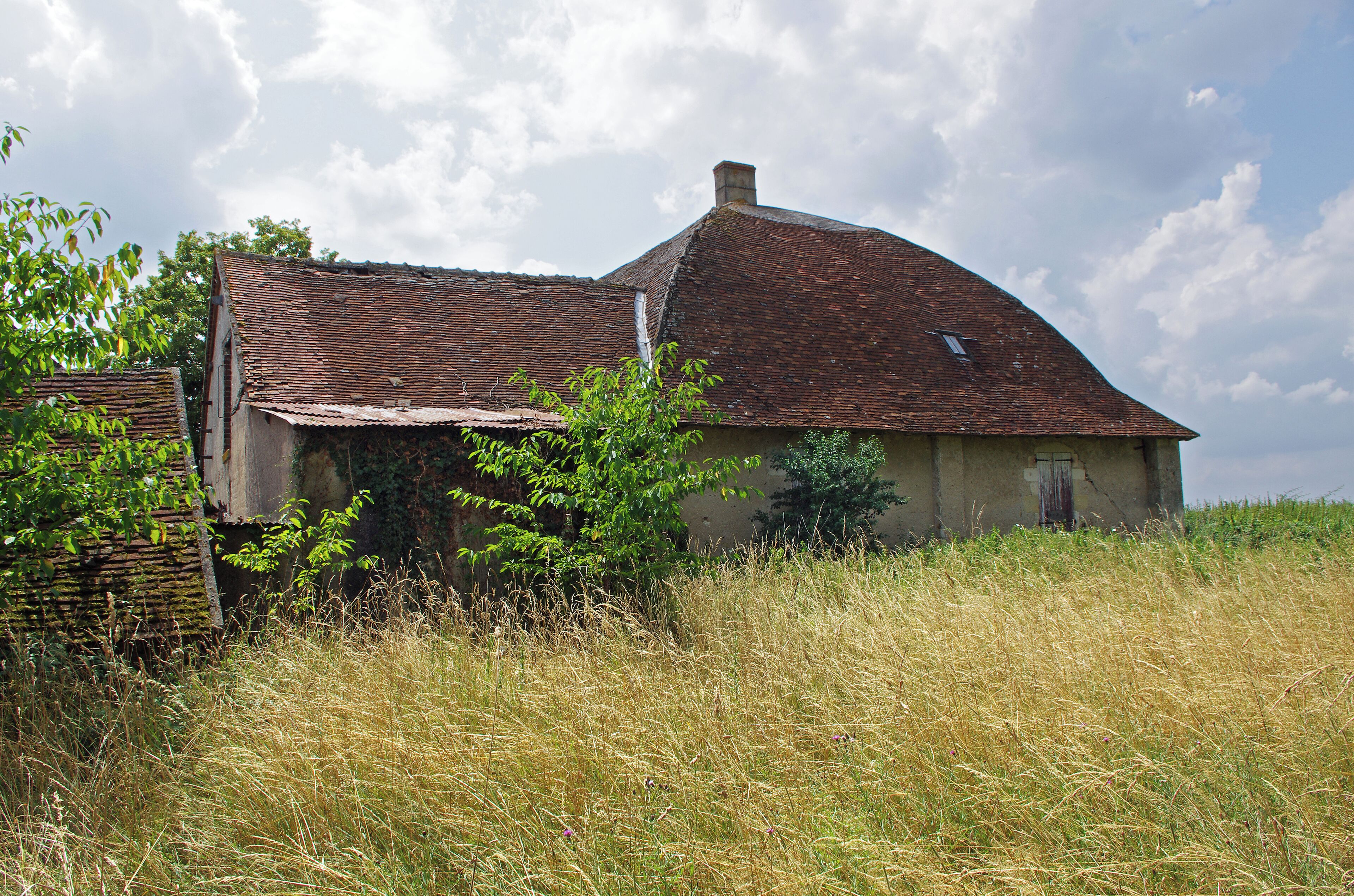 Mesland (Loir-et-Cher) Grange de la Perdrière. 47° 30' 33.6456" N 1° 7' 22.2384" E
 Cette grange semble dater du dernier quart du 18e siècle et du 1er quart du 19e siècle. Elle dépend du château de Monteaux et appartient à une société privée. Sa toiture particulière, semble sans équivalent dans le Loir-et-Cher. Les caractéristiques techniques de sa charpente permettent de dater la construction de la fin du 18e siècle. Les fermes sont constituées de 3 cours de planches formant un arc ogival rapprochées par des clous en fer forgé. Les fermes, sont les éléments de charpente qui supportent le poids de la toiture (triangulaires dans le cas de la charpente traditionnelle, mais ce n'est pas le cas ici). Le type de charpente est dit à la Philibert de l'Orme. Ce religieux du 16e siècle est surtout connu pour ses travaux d'architecture. En particulier, dans le livre X de son "Premier tome de l'architecture", Philibert de l'Orme décrit un nouveau type de charpente pouvant utiliser du bois court pour des toitures à grand développement. Ce type de charpente est cher en main d'oeuvre, économe en bois et généreux en espace. Une toiture à la Philibert de l'Orme ressemble à une carène de navire renversée. This barn appears to date from the last quarter of the 18th century and the first quarter of the 19th century. The type of timber work is said to Philibert de l'Orme. It is a timber work frame-shaped hull ship