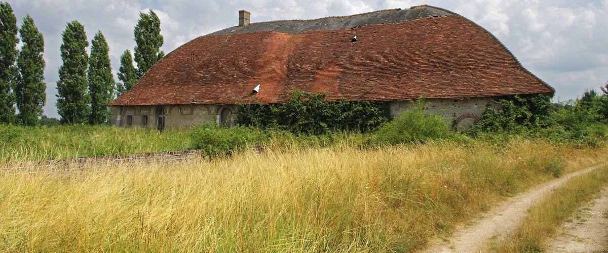 A rustic building with a red-tiled roof, surrounded by tall grass and trees.