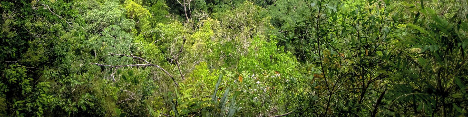 I think Semuc Champey in Guatemala is Heaven on Earth. Is one of the most beautiful places I've ever been. A totally worth hike will take you to the top of the mountain to get this view of the natural pools formed by years of erosion. The very best definition of #GreatOutdoors