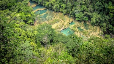 I think Semuc Champey in Guatemala is Heaven on Earth. Is one of the most beautiful places I've ever been. A totally worth hike will take you to the top of the mountain to get this view of the natural pools formed by years of erosion. The very best definition of #GreatOutdoors