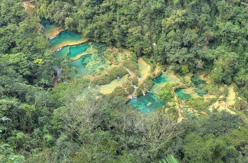A lush forest with a river and clearings.