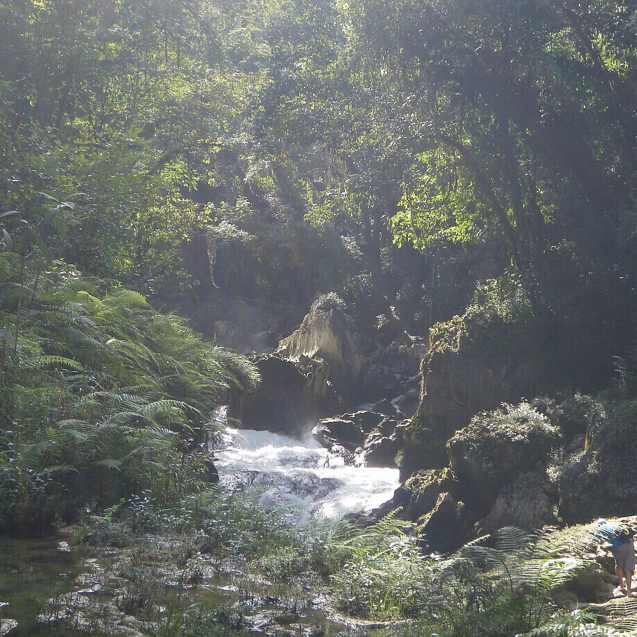 #TroveOn The entrance to an Elven kingdom perhaps