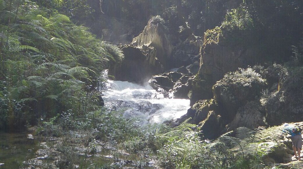 #TroveOn The entrance to an Elven kingdom perhaps