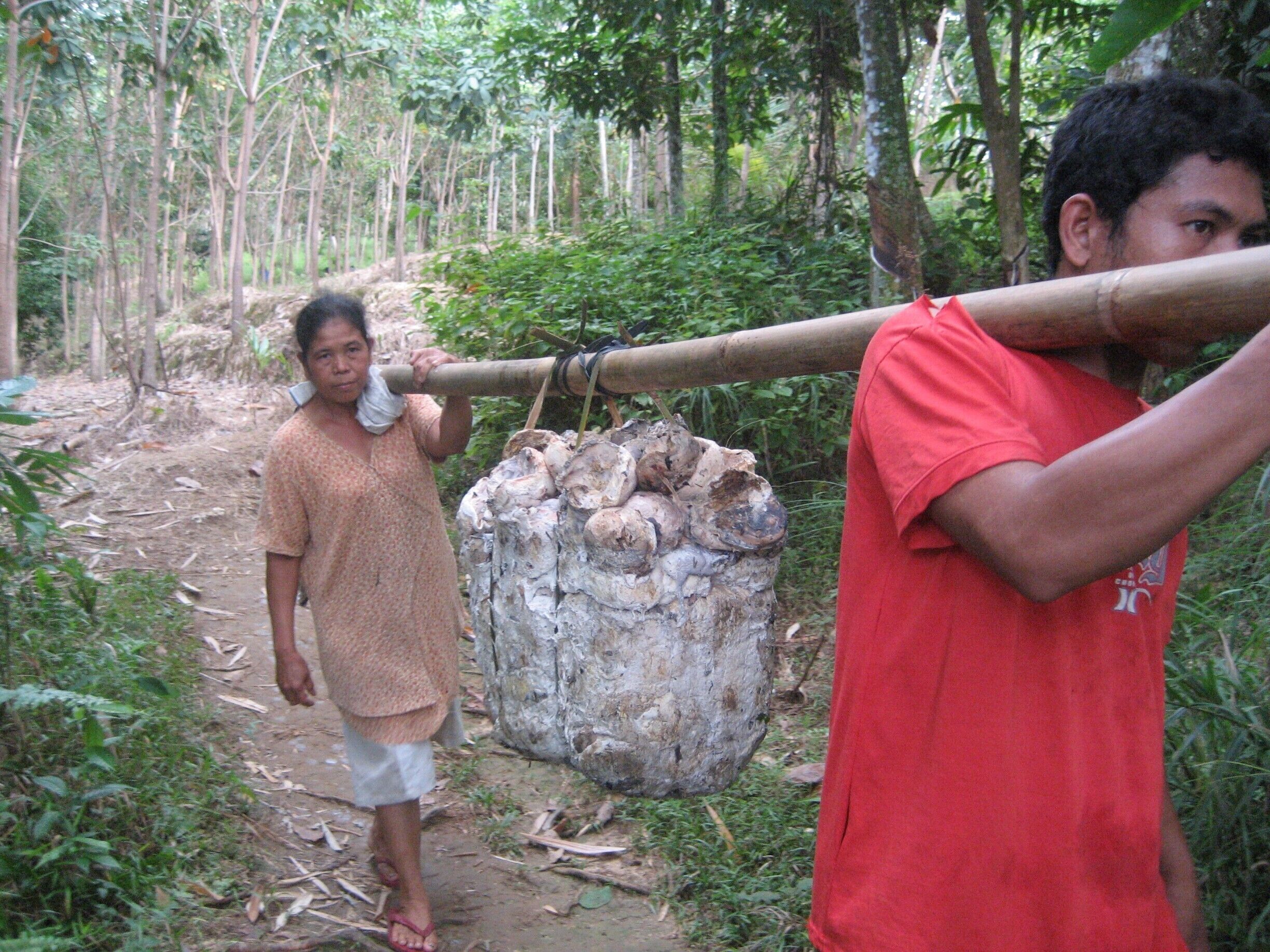 A forested area with a person carrying a large bundle on their shoulder and another person standing nearby.