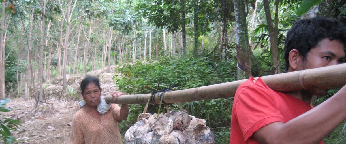 A forested area with a person carrying a large bundle on their shoulder and another person standing nearby.