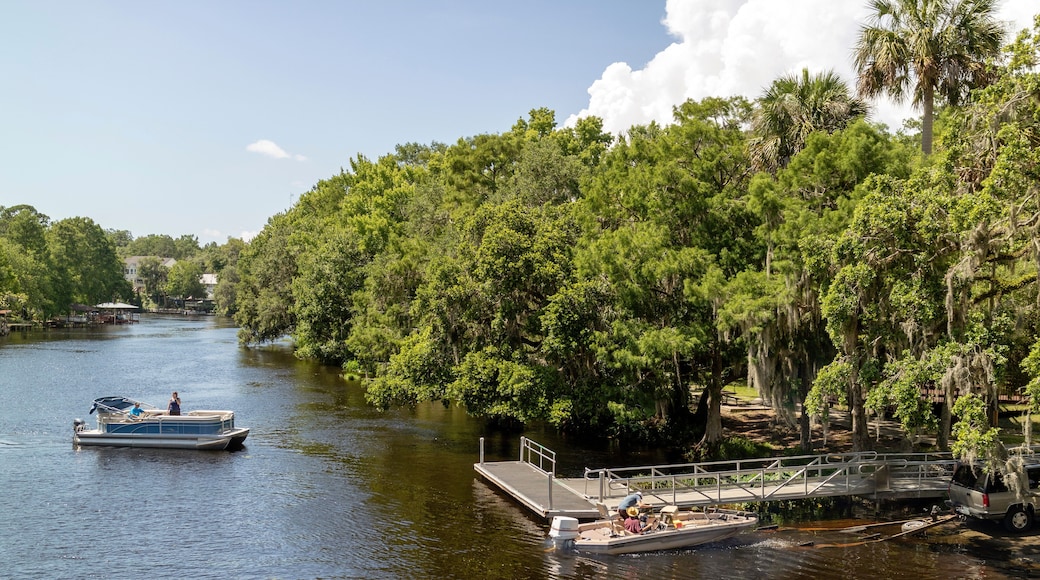 Dunnellon, Florida, USA. The Withlacoochee River with a boat boat at the launch and landing dock