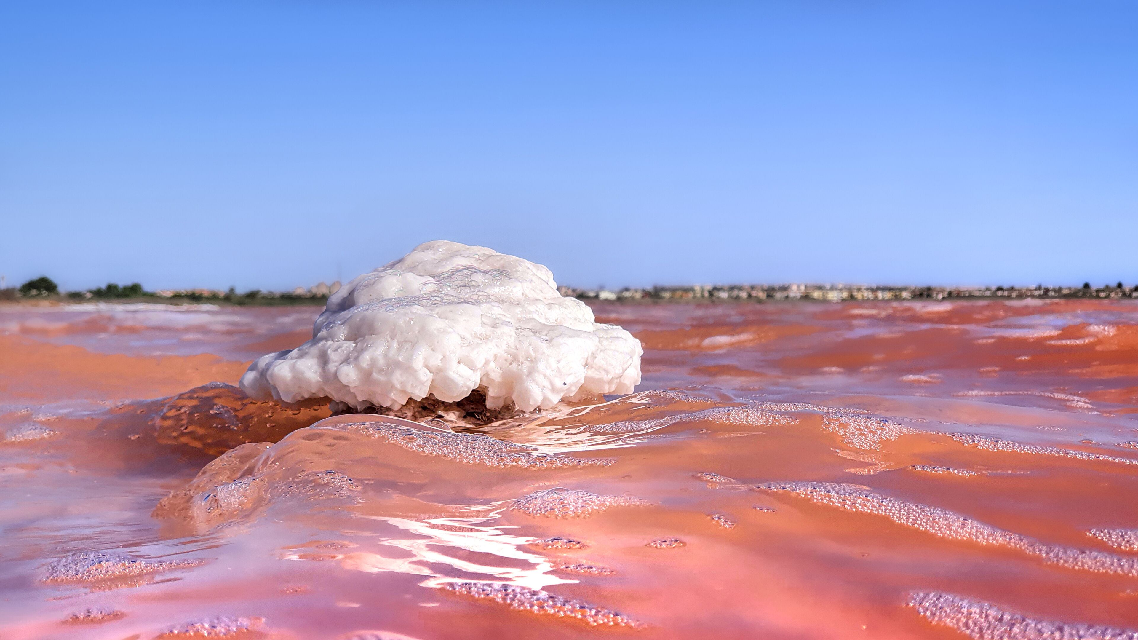 Vega Baja del Segura - Torrevieja - Laguna rosa en las salinas de Torrevieja