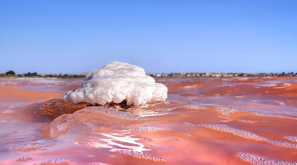 Vega Baja del Segura - Torrevieja - Laguna rosa en las salinas de Torrevieja