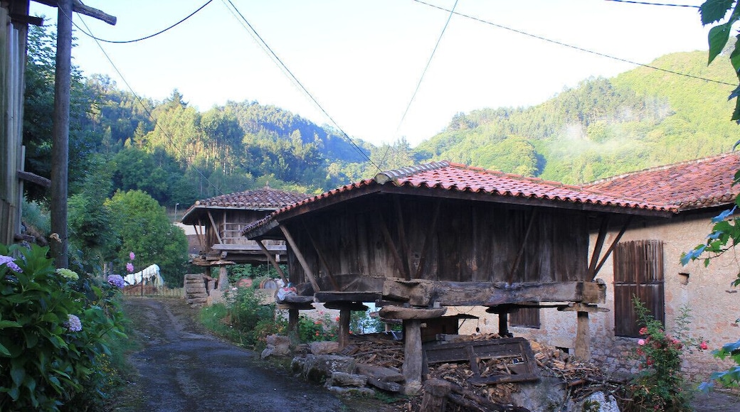 What I love most about travel, is discovering cute little villages everywhere around. This one is called San Roman, a really small and cosy village. What I noticed immediately was the sound. It's full of nature. I lived in Belgium and the only thing I hear at night are the cars rushing by and the noises of people, building new houses everywhere. Here in Spain, at night the only thing you can hear is the jingling of the bells of the cows and the crickets singing their songs. How I love this.
PS. The dog is called Cookie. He's my sweetheart.
PPS. The 'house' is called an Horreo. It's a typical house, built to dry grains. You can only find this in Asturias, the northern (and in my opinion the most beautiful) part of Spain.