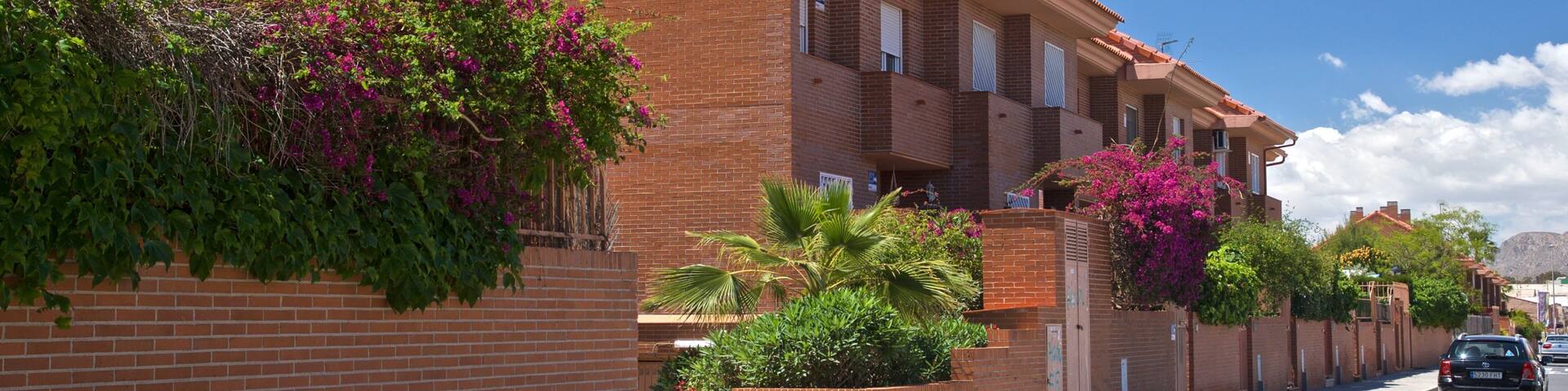 Ciudad Jardin featuring wildflowers