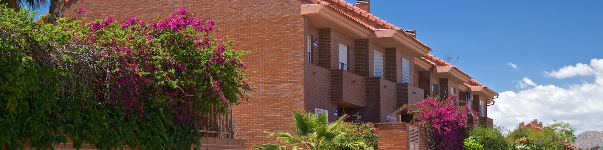 Ciudad Jardin featuring wildflowers
