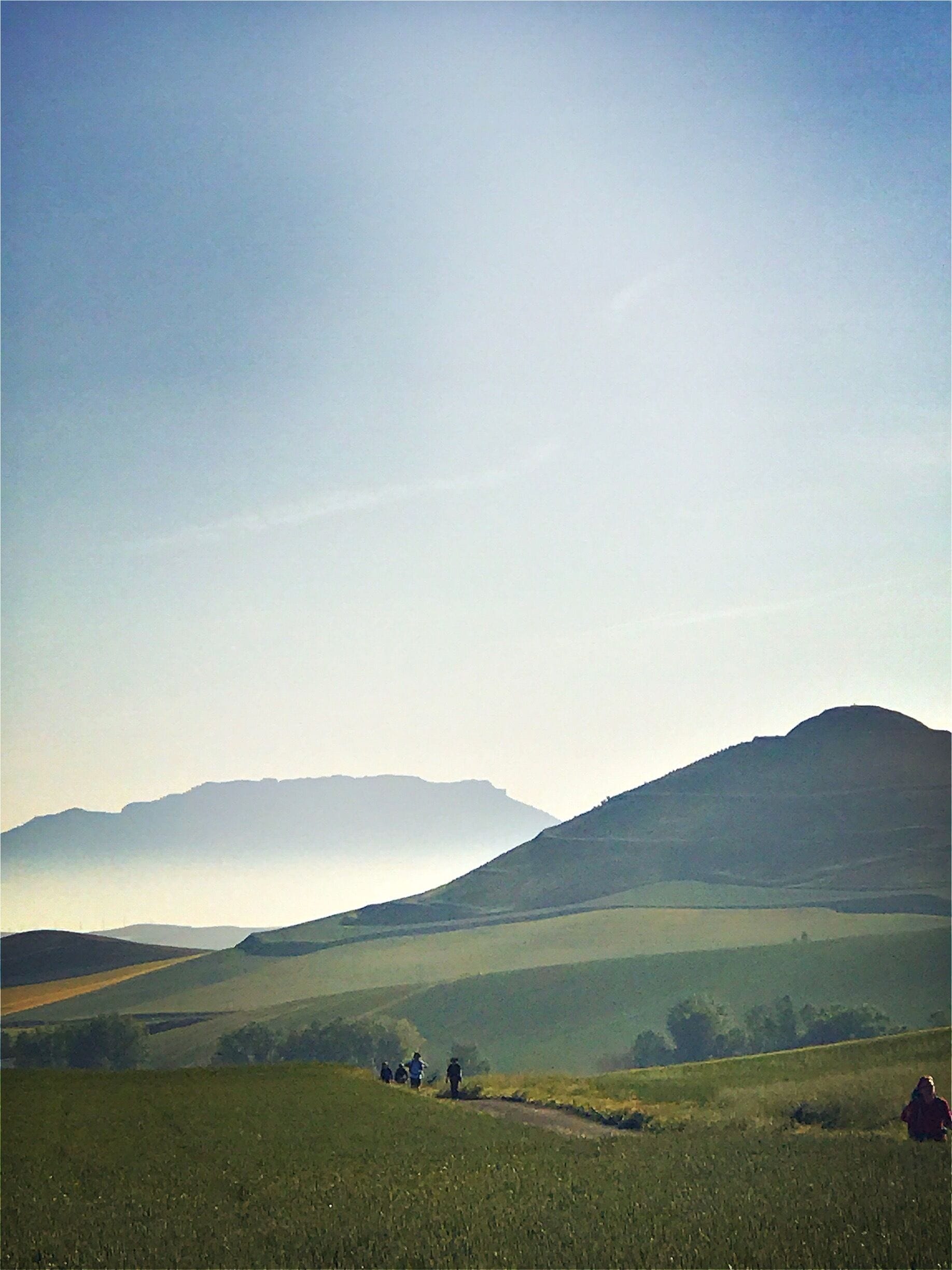 Early Morning Mist on the Camino 

By iPhone 