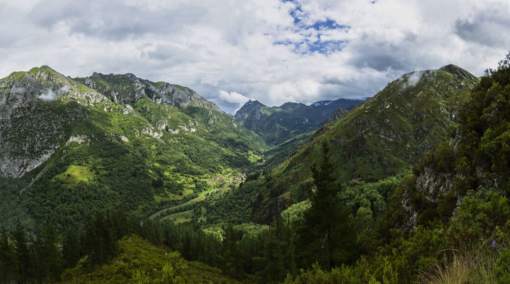 Scenic landscape of green forested mountains and clouds
