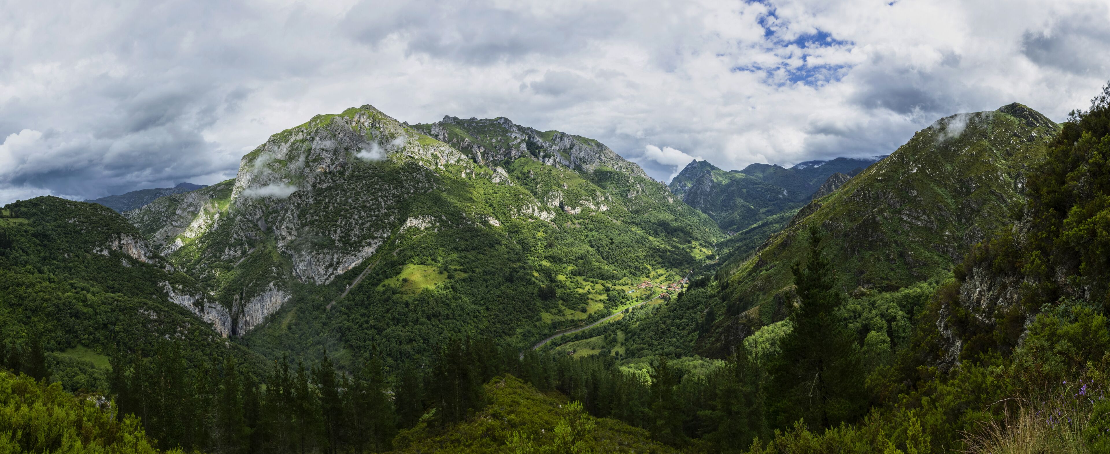 A mountainous landscape with dense forests and a winding road.
