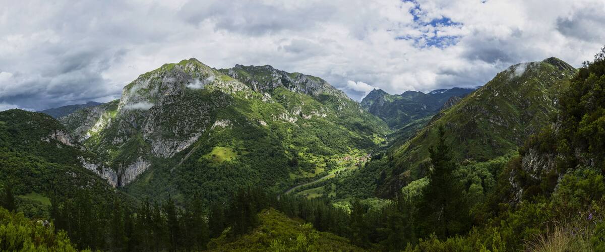A mountainous landscape with dense forests and a winding road.
