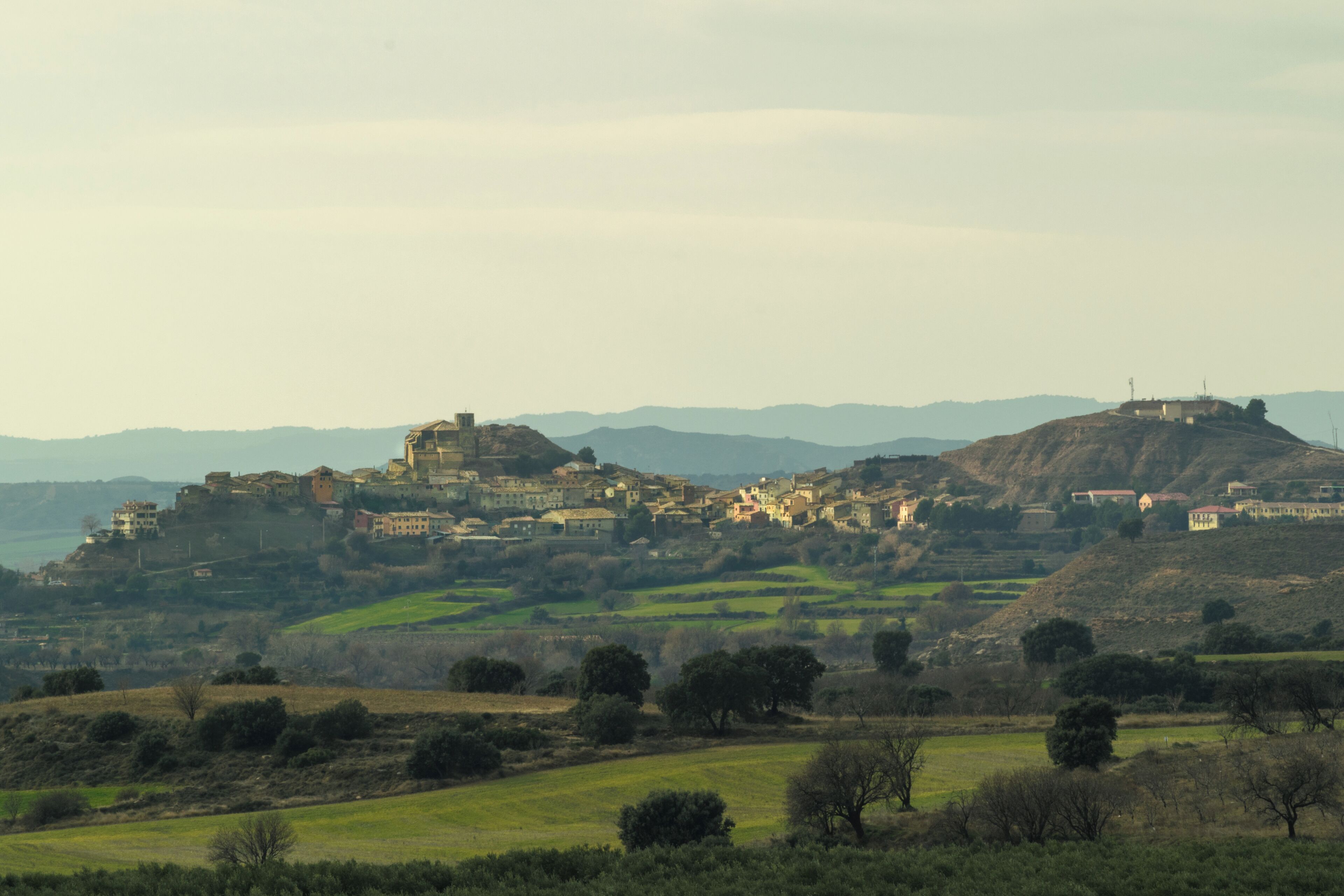 A historic town on a hill with buildings and a castle.