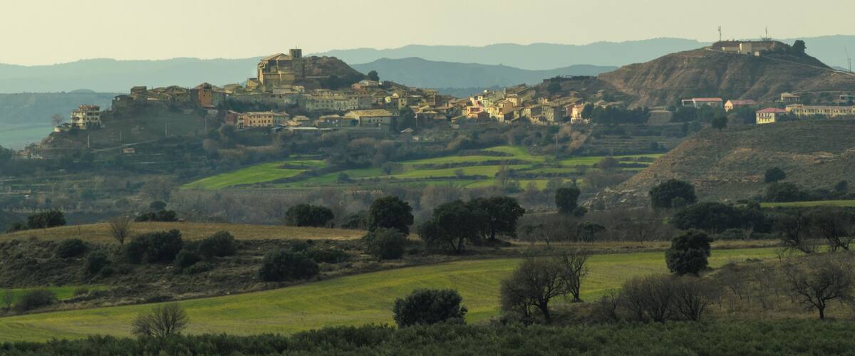 A historic town on a hill with buildings and a castle.