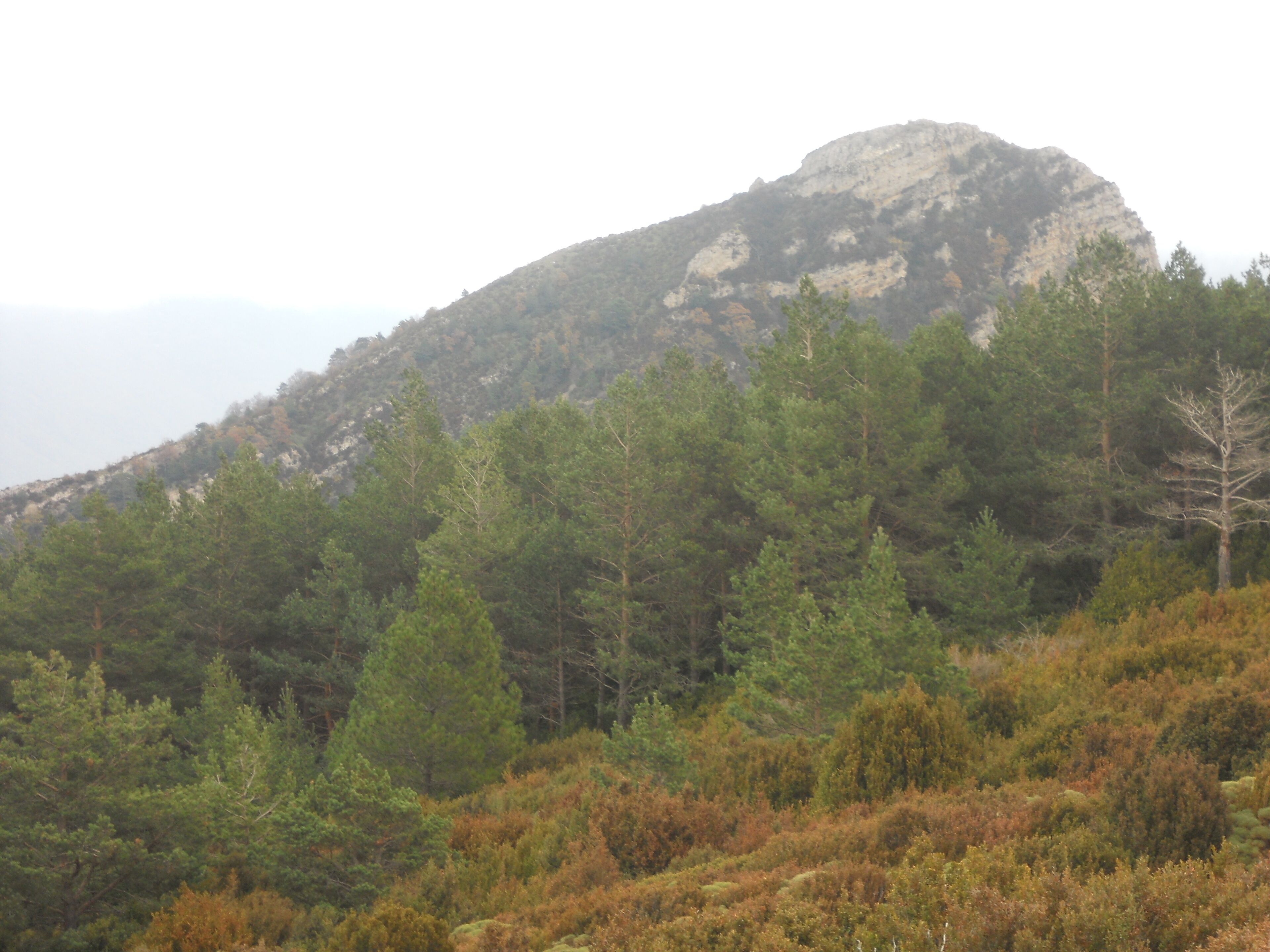 Vista del Pico Peiro desde sierra Caballera ( Huesca )