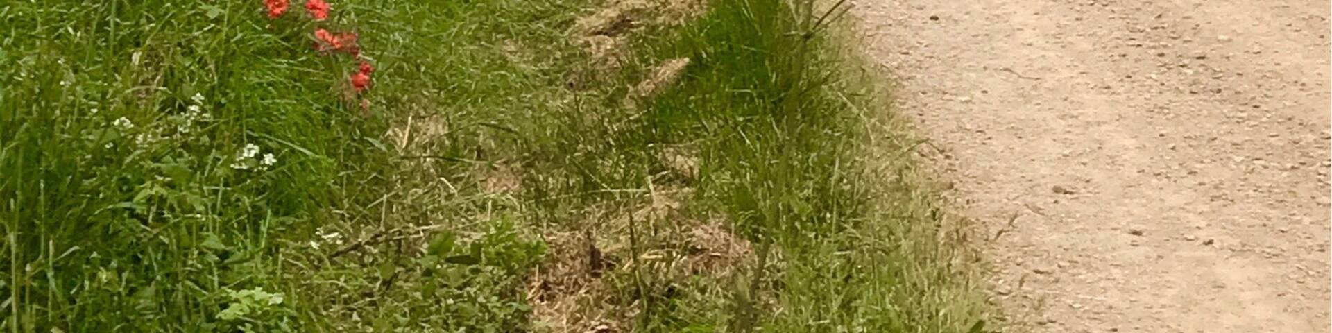 One foot in front of another....