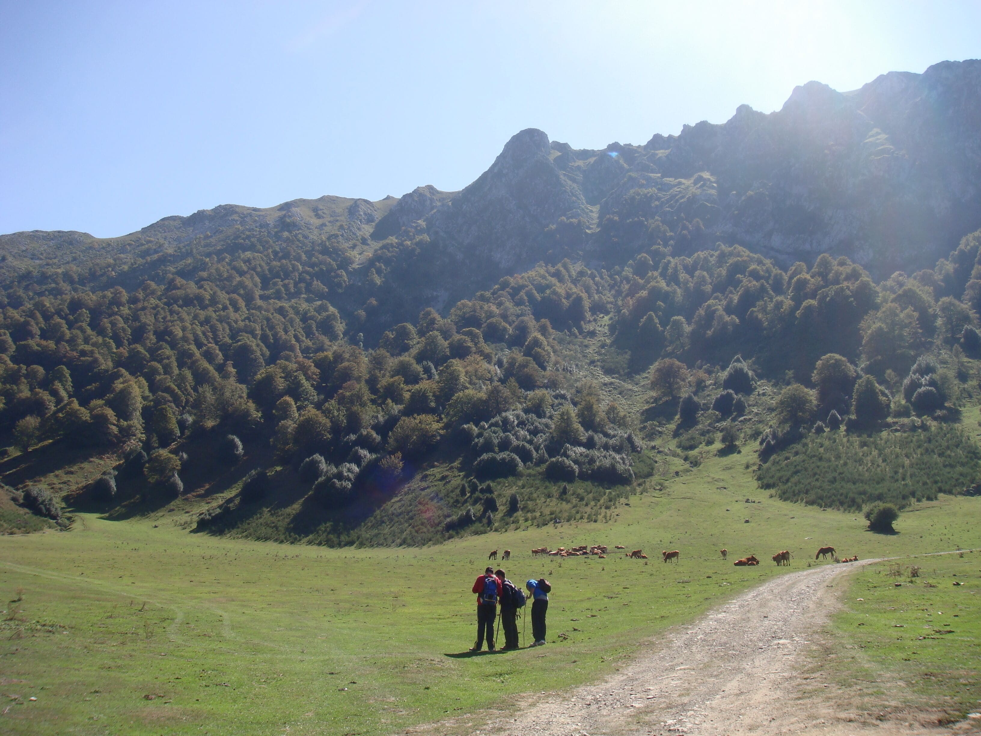 La Vega de Brañagallones