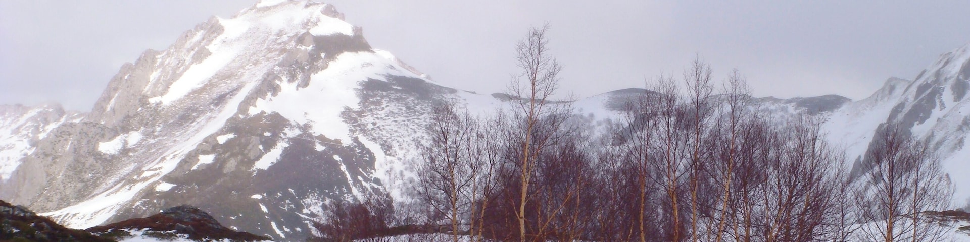 A snow-covered mountain range with bare trees and rocks.