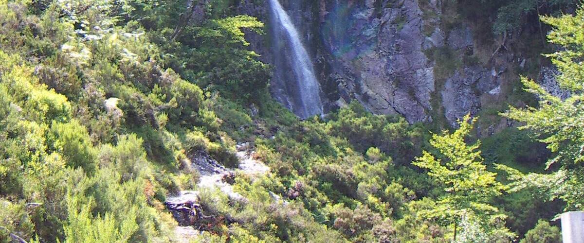 A waterfall cascading down a rocky cliff surrounded by lush greenery.