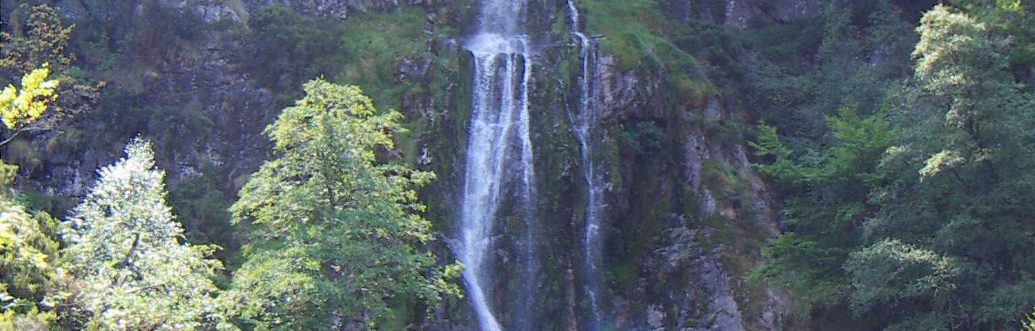 A waterfall cascading down a rocky cliff surrounded by lush greenery.