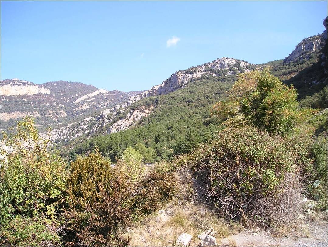 Vista de la zona de obras (ZEPA Sierra y Cañones de Guara, del Área crítica del quebrantahuesos y de la IBA nº 118).