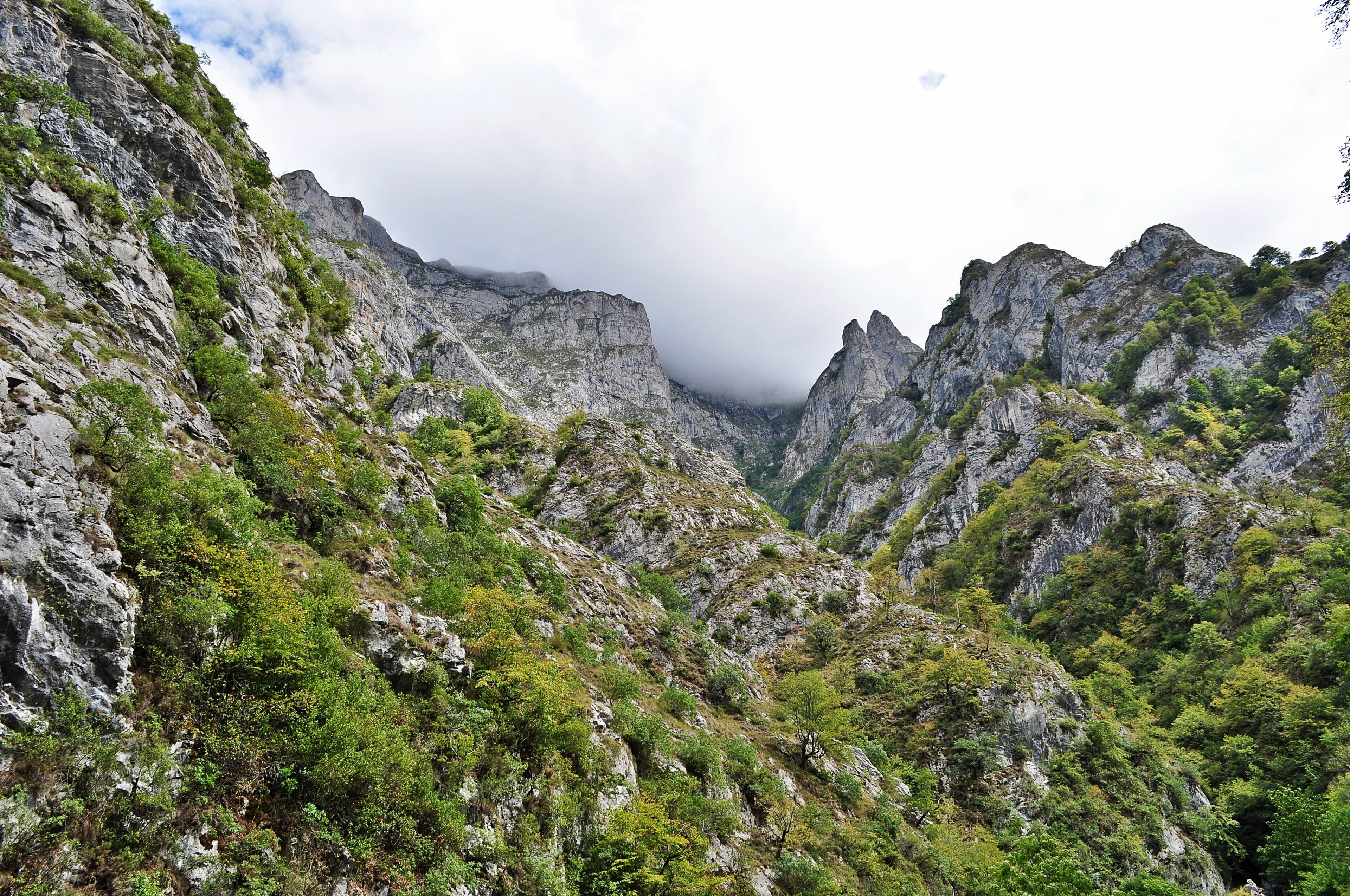 "Entalladura fantástica"