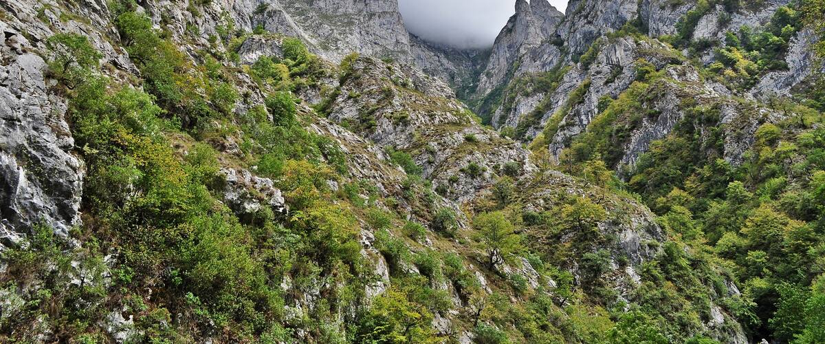 "Entalladura fantástica"