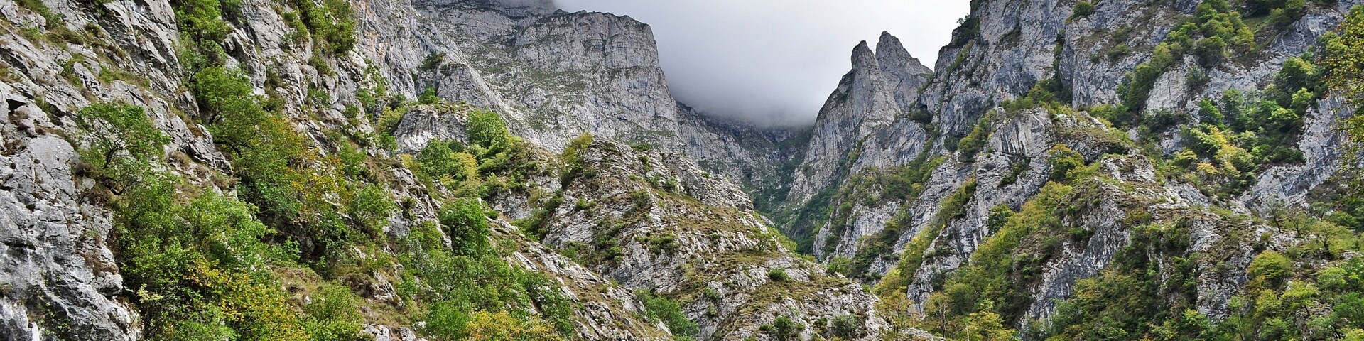 "Entalladura fantĂĄstica"