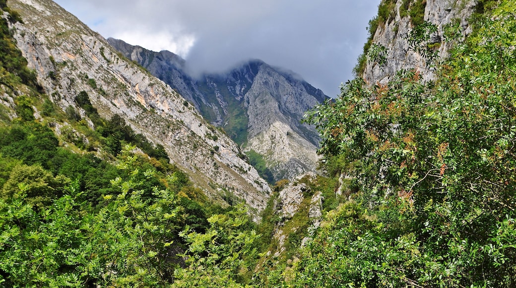 "...que los otros desfiladeros célebres..."