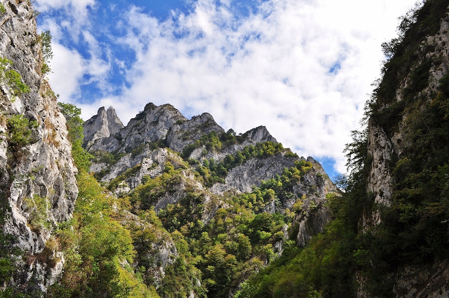 Desfiladero de los Beyos o del Sella