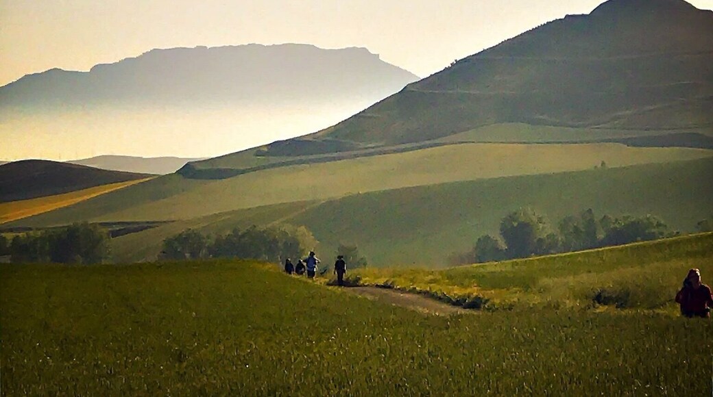 Morning Mist on the Camino
@iphoneablefoto
#Mountains