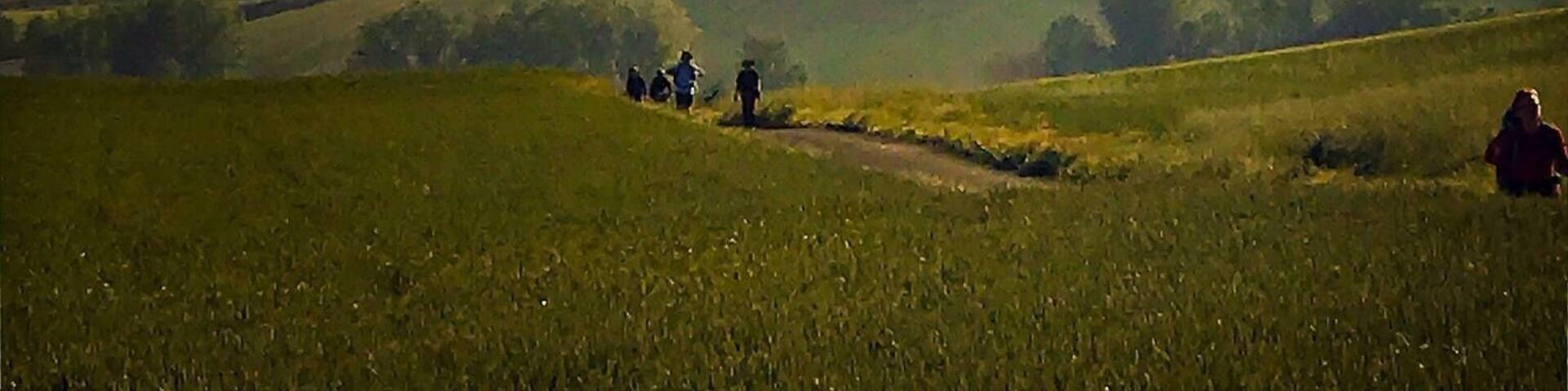 Morning Mist on the Camino
@iphoneablefoto
#Mountains