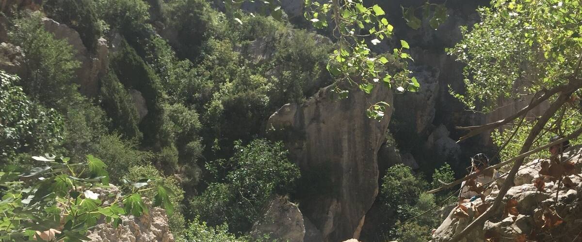 A serene natural landscape with a clear stream, rocky terrain, and lush greenery.