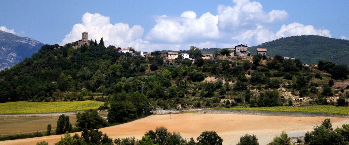 A hillside village with scattered houses, a prominent tower, and a large open field.