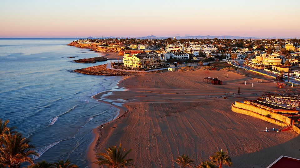 A coastal town with a beach, houses, and palm trees.