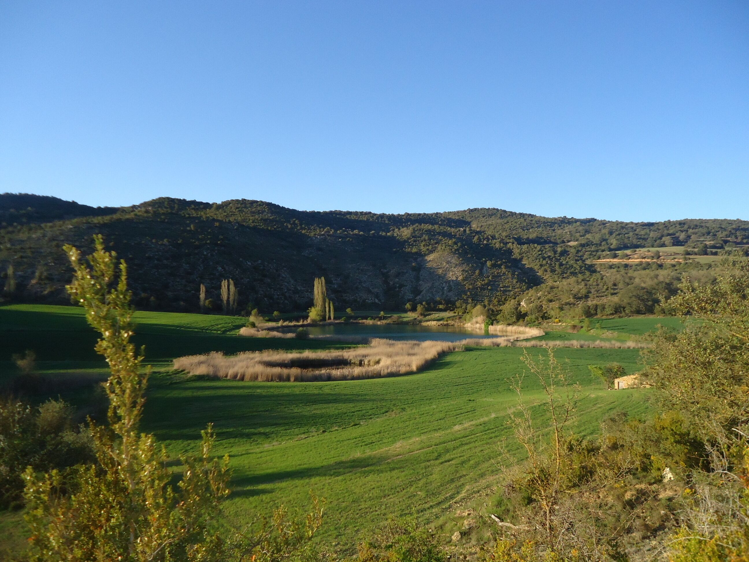 La sierra del Montsec forma parte del conjunto de Sierras Exteriores del Pirineo Central. Discurre de este a oeste a lo largo de unos 40 km de longitud, cortada por los ríos Noguera Ribagorzana y Noguera Pallaresa. El Noguera Ribagorzana, frontera natural entre Aragón y Cataluña, al atravesar la sierra del Montsec separa Montsec de L’Estall (o sierra de Montgai), en la provincia de Huesca, del Montsec d’Ares, en Lleida.