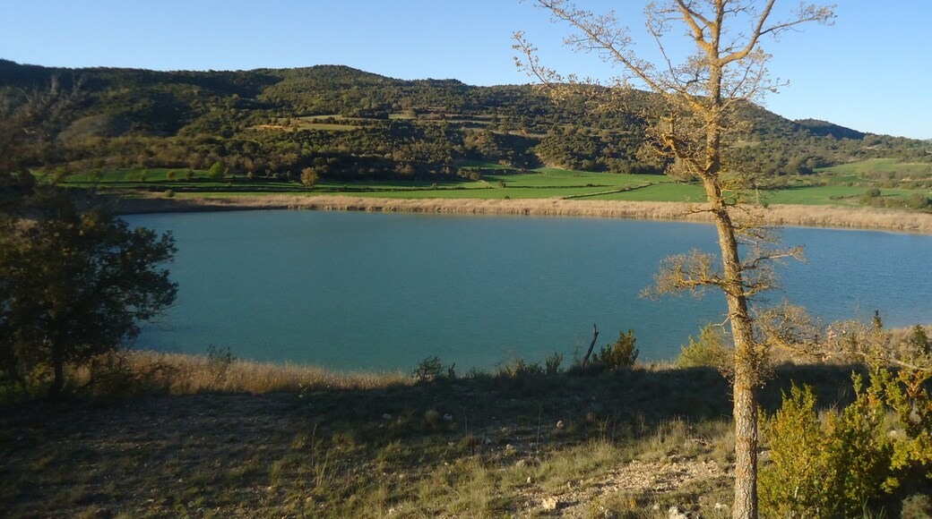 La sierra del Montsec forma parte del conjunto de Sierras Exteriores del Pirineo Central. Discurre de este a oeste a lo largo de unos 40 km de longitud, cortada por los ríos Noguera Ribagorzana y Noguera Pallaresa. El Noguera Ribagorzana, frontera natural entre Aragón y Cataluña, al atravesar la sierra del Montsec separa Montsec de L’Estall (o sierra de Montgai), en la provincia de Huesca, del Montsec d’Ares, en Lleida.