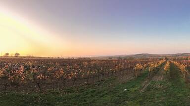 Sunset at pumpkin festival