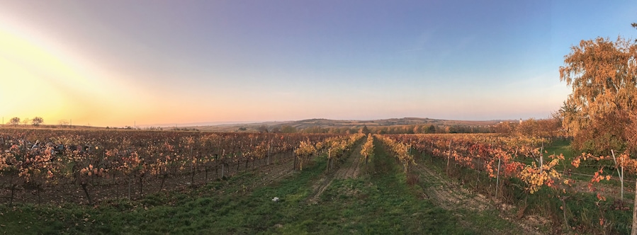 Sunset at pumpkin festival