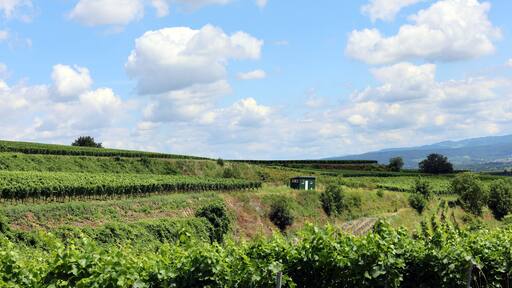 Eichstetten am Kaiserstuhl