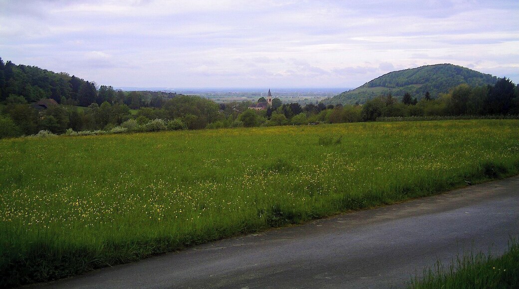 Bollschweil Panorama