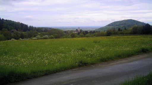 Bollschweil Panorama