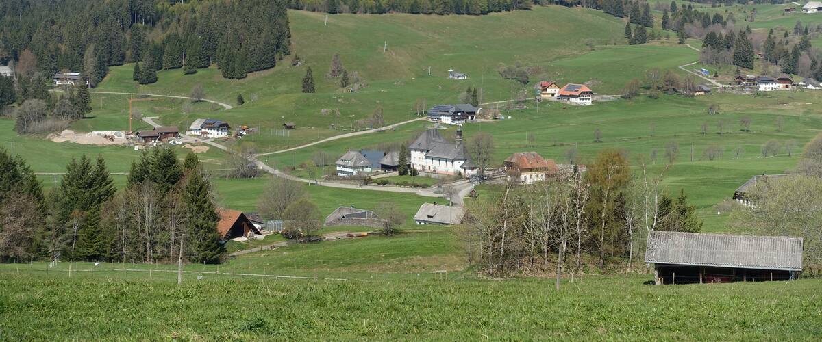 A rural landscape with rolling hills, a small village, and a dense forest in the background.
